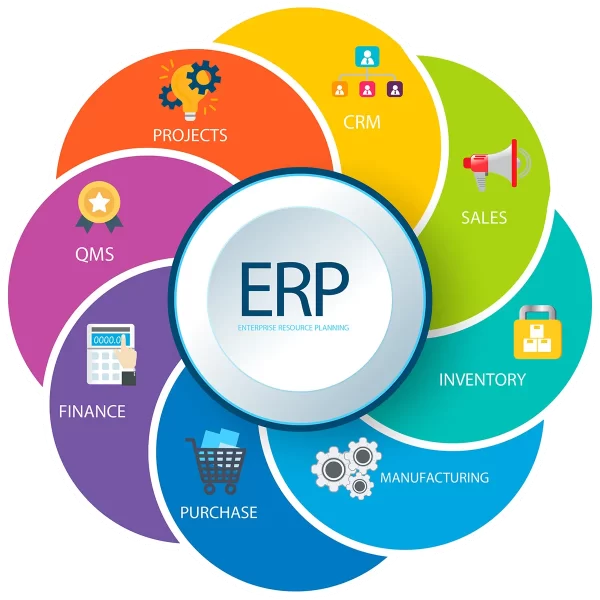 erp info graphics